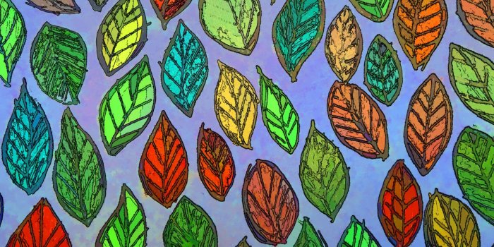 1920x1440 Background,wallpaper,leaf,leaves,color - free image from needpix.com