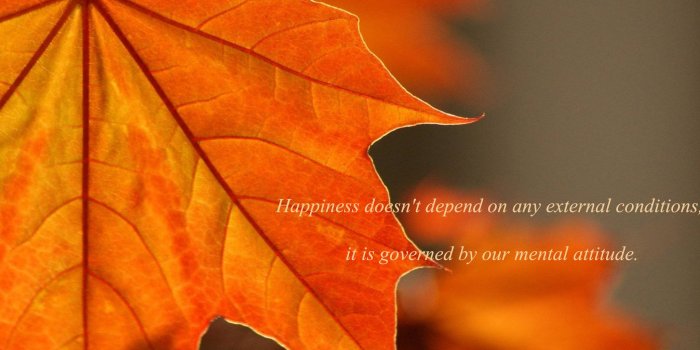 2048x2048 oak rust colored leaves iPad Air Wallpapers Free Download