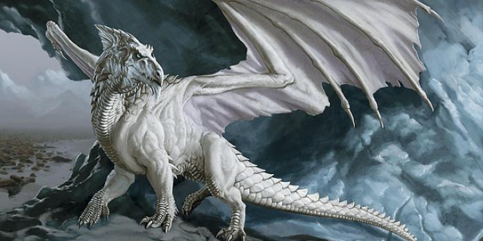 2560x1440 White Dragon Wallpaper Hd - 2560x1440 Wallpaper - Ecopetit.cat