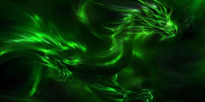 1920x1080 70+ Green Dragon Wallpapers on WallpaperPlay