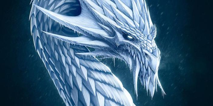 774x1032 Free Ice Dragon Wallpapers High Quality Resolution at Abstract