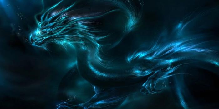 1920x1080 Wallpaper's Collection: «Dragon Wallpapers»