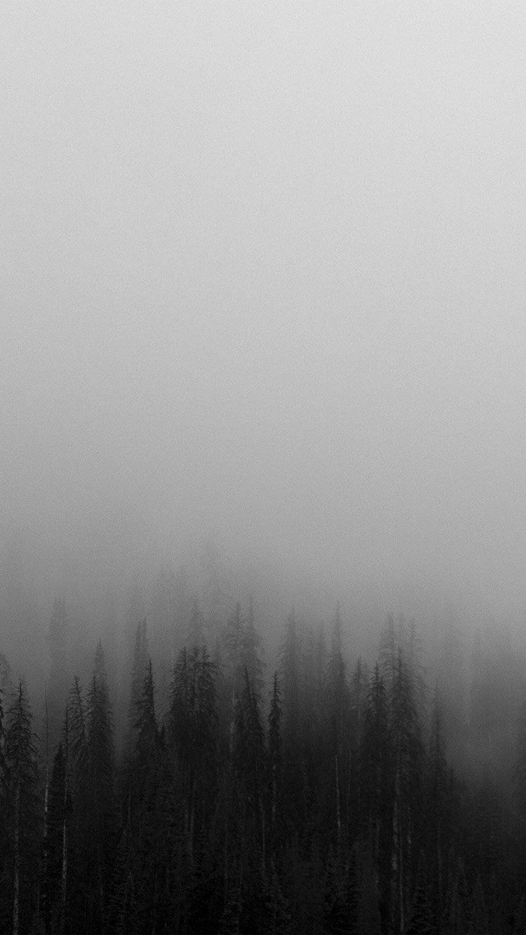 750x1334 Fog Minimal Mountain Wood Nature Wallpaper Hd Iphone - Minimal