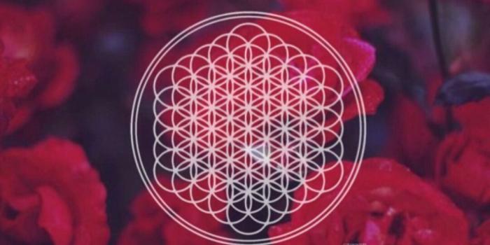 1082x1920 Bmth Wallpaper iPhone Luxury Lockscreens — Bring Me the Horizon