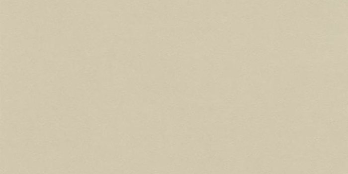 800x1091 Shop P+S International Plain Glamour Wallpaper Light Brown online