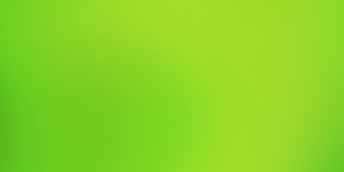 1600x1200 Plain Light Green Wallpaper 24341 1600x1200px