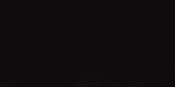 720x1280 Two couples and a fire on We Heart It