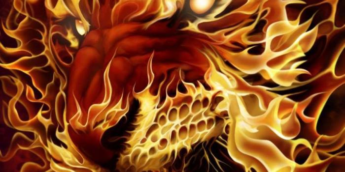 900x1600 Tiger of Fire iPhone Wallpaper in 2020 | Wallpaper, Iphone