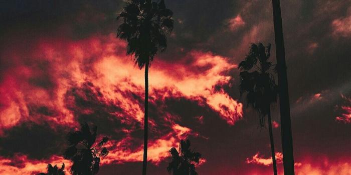 1080x1920 L.A. Fire sky. ~ETS #sunset | Beautiful sunset, Echo park