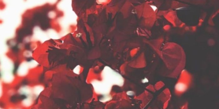 704x1273 P.Oulkar on backgrounds in 2020 (With images) | Preppy