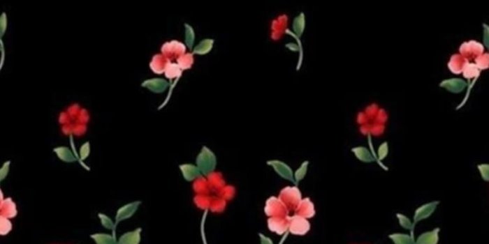 750x1333 iPhone Wallpaper | Black, Red, Pattern, Flower, Plant, Floral design
