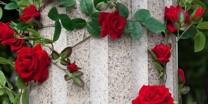 1080x1920 Idea by Brandy22 on Cards | Beautiful flowers wallpapers, Flower