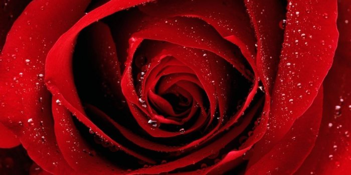 1280x1024 Cute Red Wallpapers - Top Free Cute Red Backgrounds - WallpaperAccess