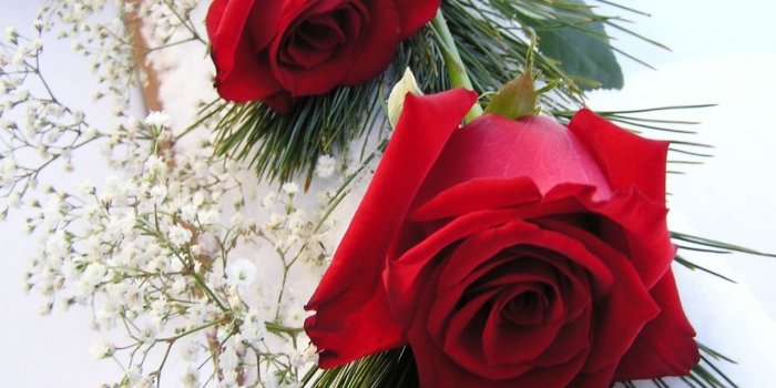 1280x1024 Red Roses #4207105, 1280x1024 | All For Desktop