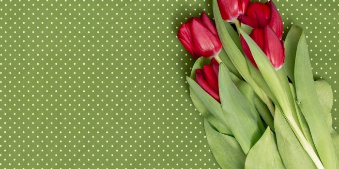 1332x850 Wallpaper flowers, flowers, spring, red, bouquet, red, tulips