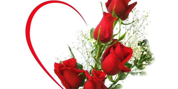 1680x1050 Free Rose Image, Download Free Clip Art, Free Clip Art on Clipart