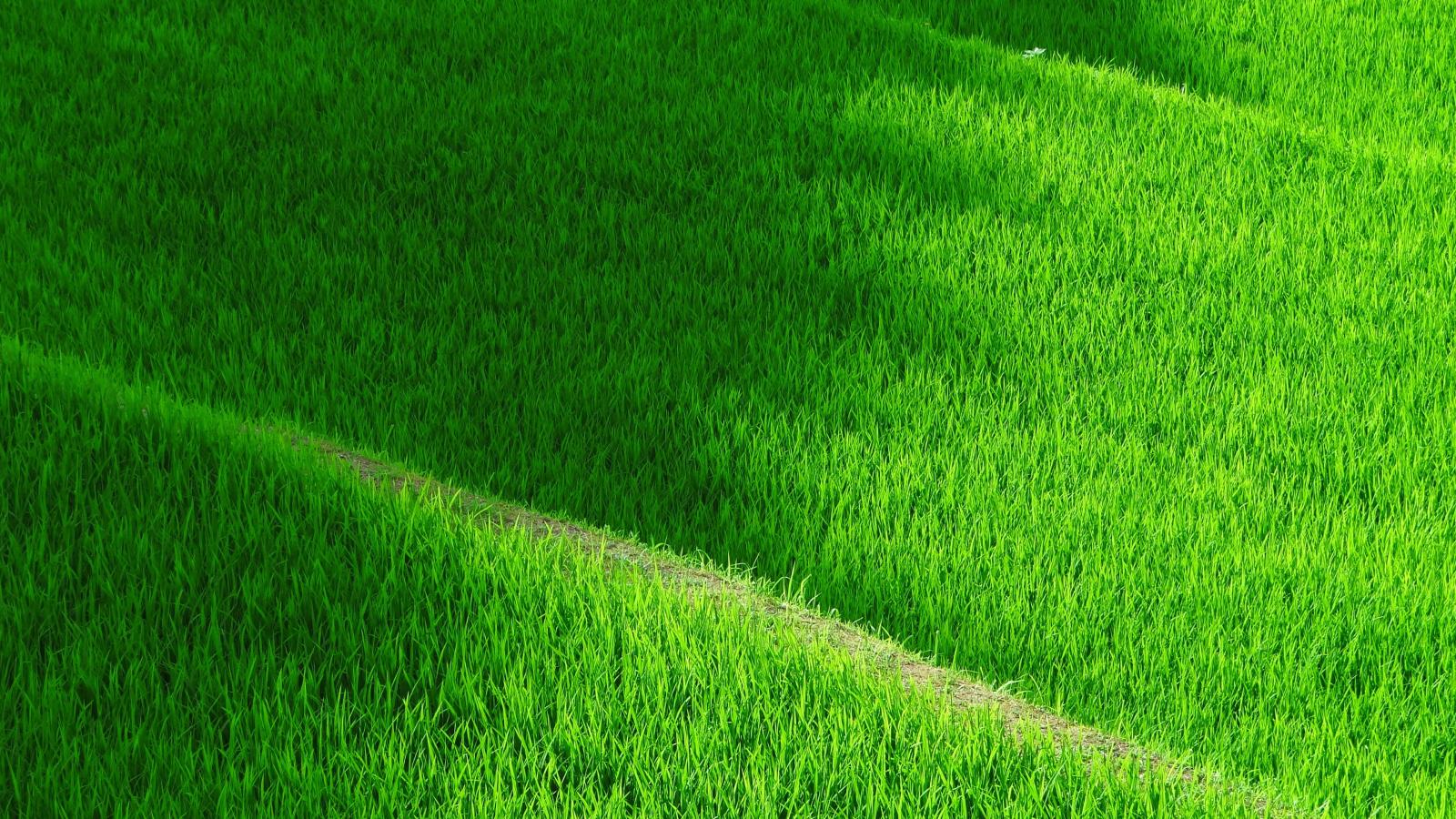 3840x2160 4K Grassy Terrace Wallpaper HD