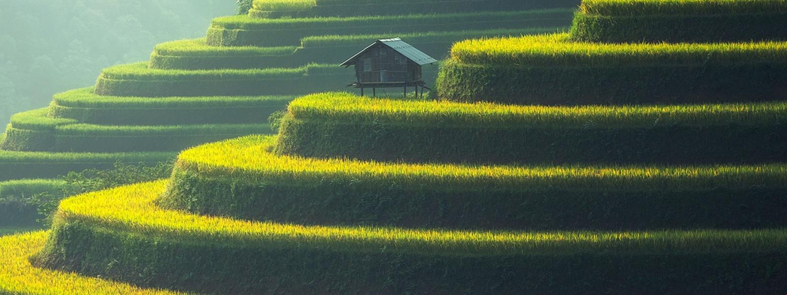 3200x1200 Landscape Architecture Building Asian Architecture - Terrace