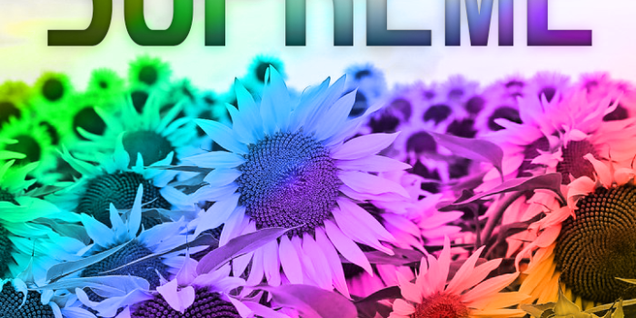 720x1280 Supreme wallpaper, sunflower rainbow | Supreme wallpaper