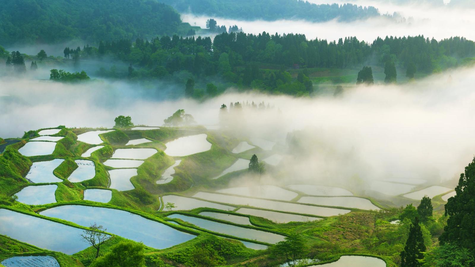 1920x1080 Rice Terrace – Bing Wallpaper Download