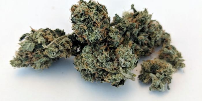 1000x1000 Rainbow Weed Strain – samyysandra.com