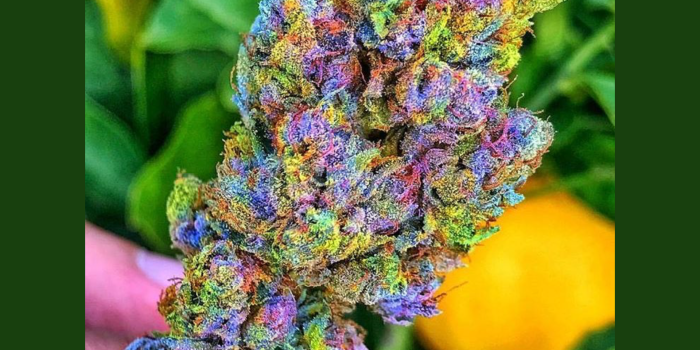 1920x1440 Galaxy iphone weed wallpaper: Rainbow Weed Leaf Wallpaper