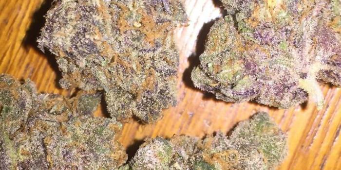 974x973 Rainbow Weed Strain – samyysandra.com