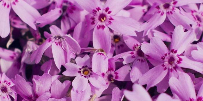 1125x2436 Latest iPhone X Wallpapers Free HD - iLikeWallpaper