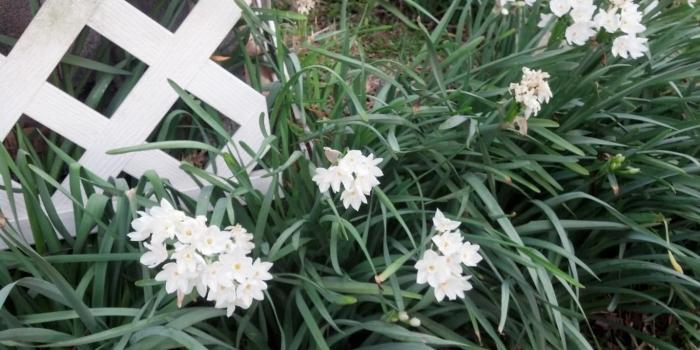 1366x768 FREE 21+ Weed Wallpapers in PSD | Vector EPS