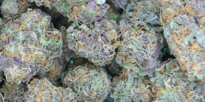 1562x959 Kush Wallpapers Group (59+)