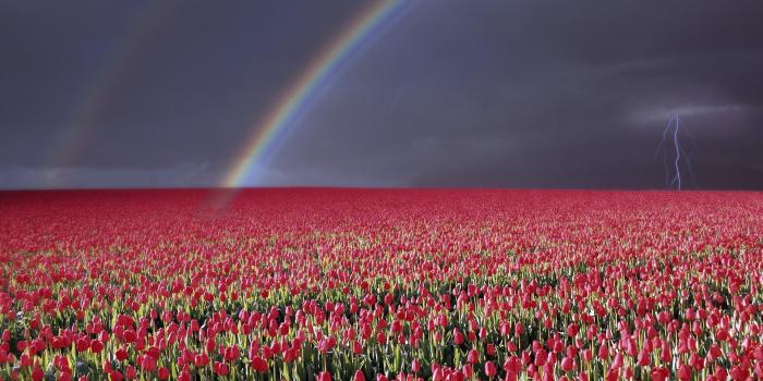 1920x1080 Rainbow wallpapers 1920x1080 Full HD (1080p) desktop backgrounds