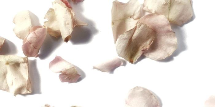 1000x1333 Mom's in Business — the bloom equation