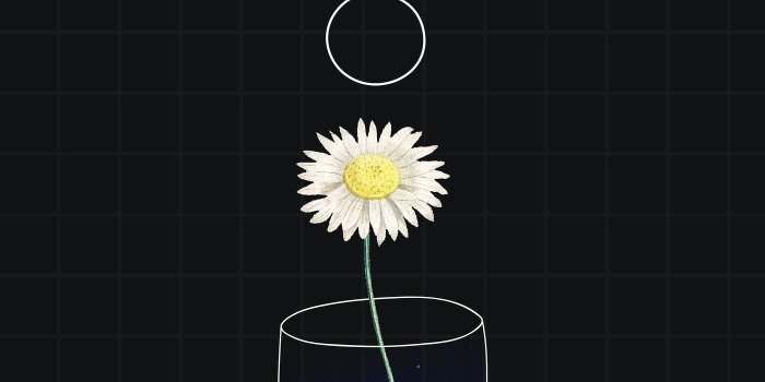 1400x2488 Minimal daisy and a moon mobile wallpaper | Royalty free vector