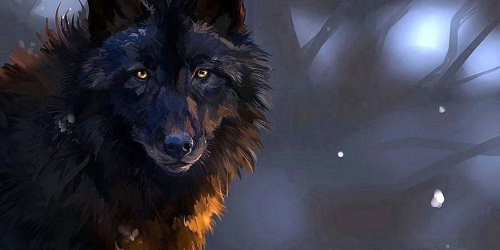 1252x704 Wolf Wallpapers Epic - Wolf-Wallpapers.Pro