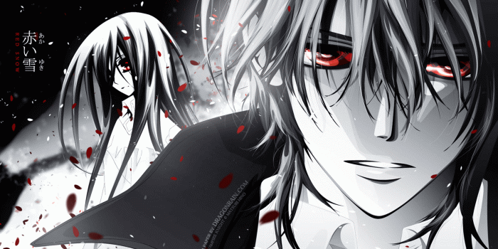 1920x1200 Vampire Knight Guilty Wallpapers - Top Free Vampire Knight Guilty