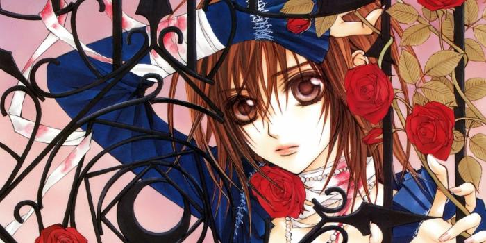 1332x850 Wallpaper knight-vampire, yuuki cross, matsuri hino, fence