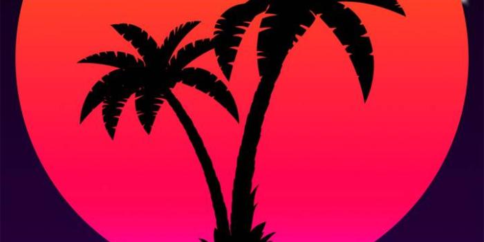720x1280 Synthwave Palms wallpaper by G1ngerBoy - b9 - Free on ZEDGE™