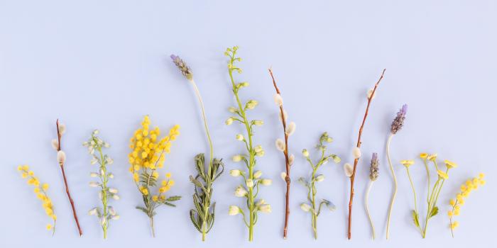 3787x2525 Aesthetic Desktop Wallpaper Summer - 3787x2525 Wallpaper