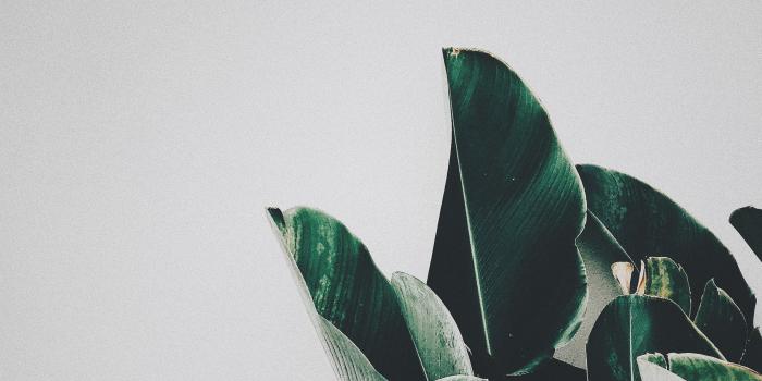 5120x2880 VSCO for Computers Wallpapers - Top Free VSCO for Computers