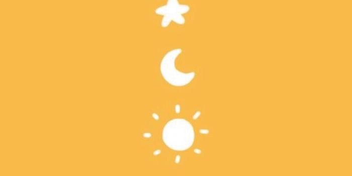 1152x2048 VSCO Girl Wallpapers