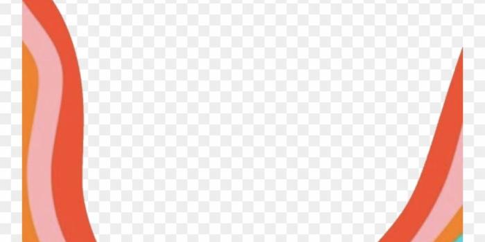 880x1189 Vsco Background Clipart