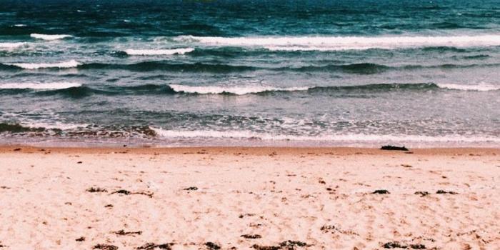 828x1245 Summer Vsco Computer Wallpaper