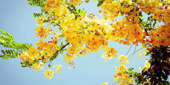 2560x1600 Summer Vsco Computer Wallpaper