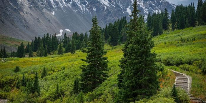 1920x2880 HD Grays Peak in Colorado Wallpaper · #7329 · Wallpapers.io