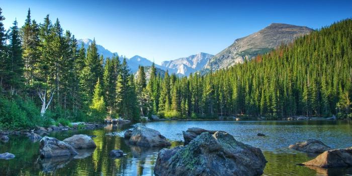 2560x1440 water, landscapes, nature, trees, forests, summer, stones