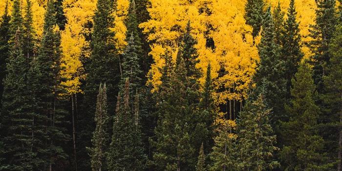 852x1602 Inspiring photographers around the world to be great!-October 2018