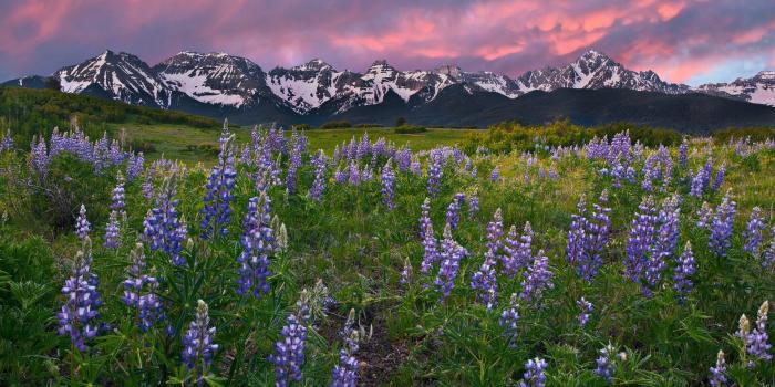 1920x1080 images of mountains and meadows - Google Search | Rocky mountains