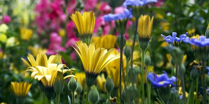 2560x1600 Desktop Wallpaper HD Screensaver for Computer - Background images