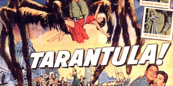 1024x768 50+] Classic Horror Movie Wallpaper on WallpaperSafari