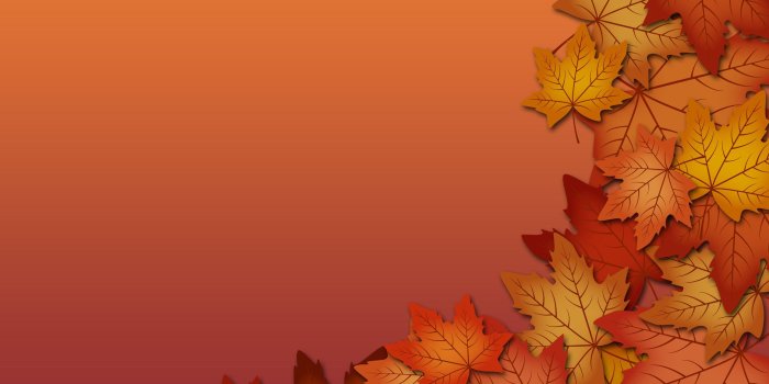 2880x1800 Thanksgiving Autumn Leaves Wallpapers